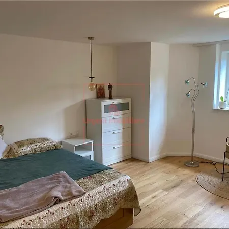 Grigorescu Residance شقة *